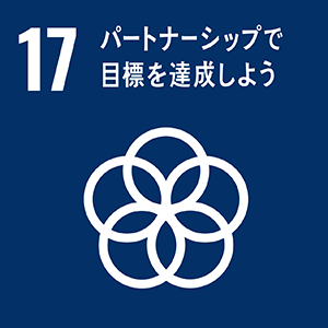 図:17 パートナーシップで目標を達成しよう